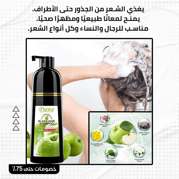 ⁦شامبو تغطية الشيب⁩ - الصورة ⁦2⁩